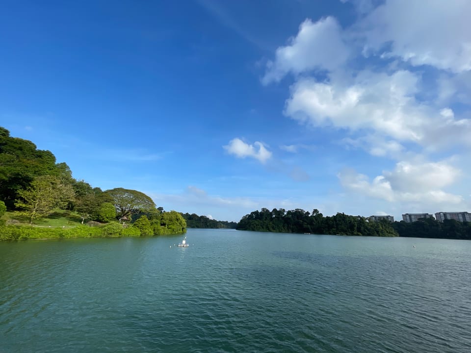 🌿MacRitchie Reservoir and Property Values: What the Proximity Premium Is Actually Worth